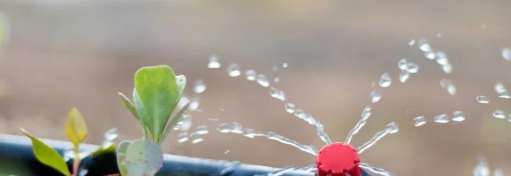 Bewässerungsschlauch mit Düsen